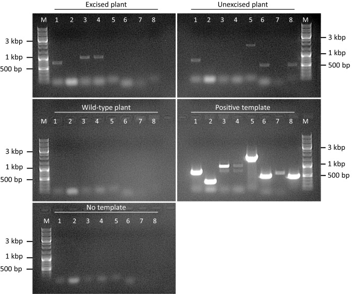 Fig. 5