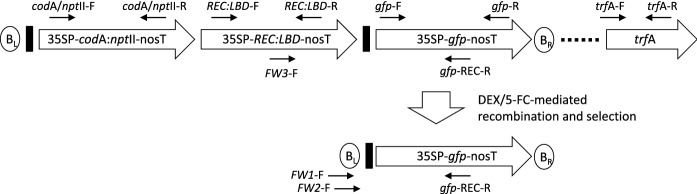 Fig. 1