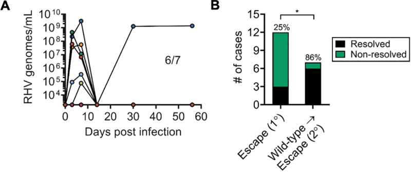 Fig 6