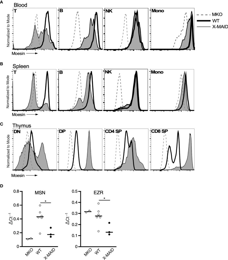 Figure 5