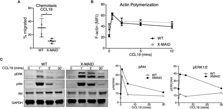 Figure 6