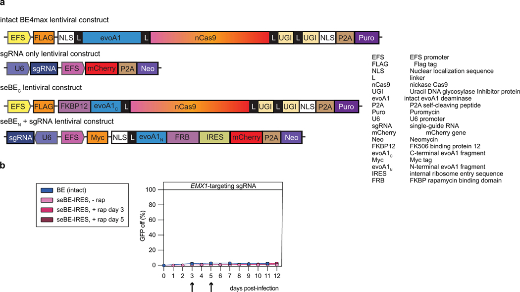 Extended Data Fig. 7