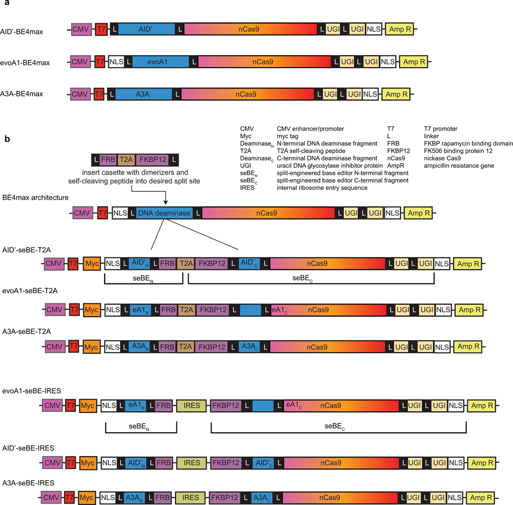 Extended Data Fig. 3