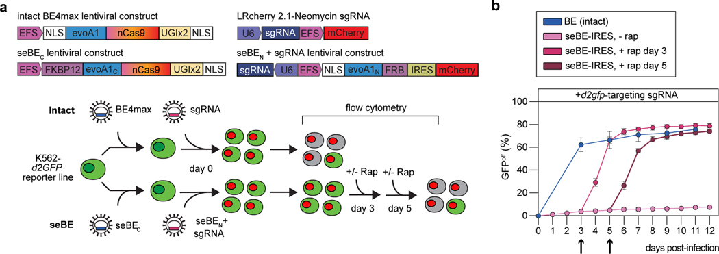 Figure 5.