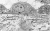 104
