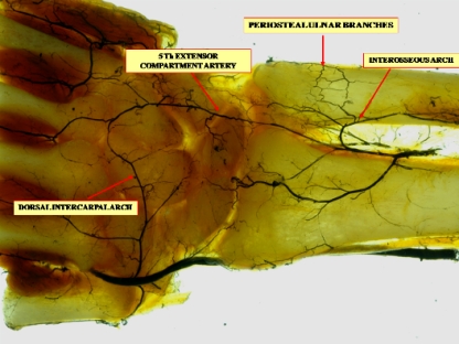 Figure 4