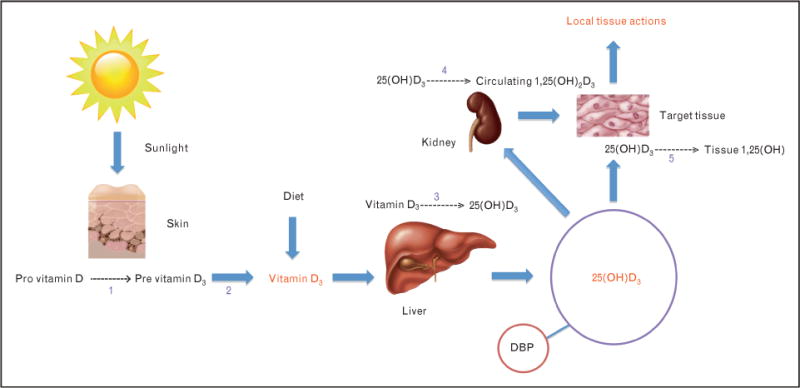 FIGURE 1