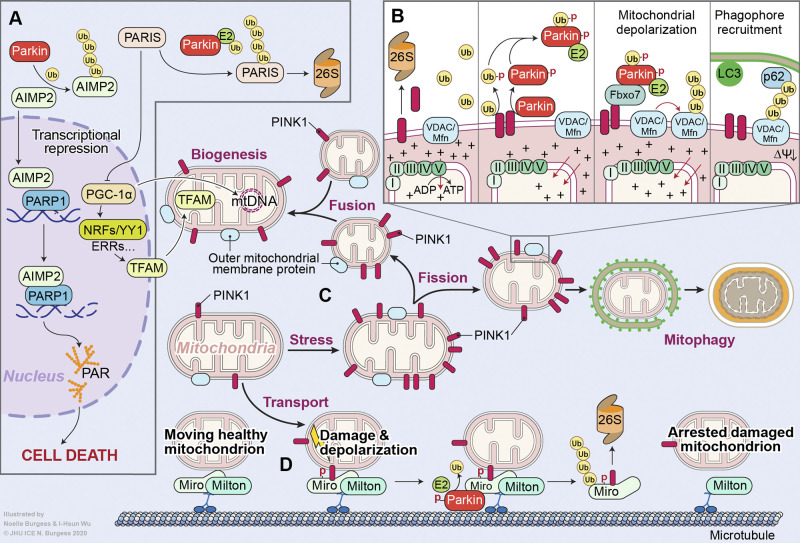 Figure 3.