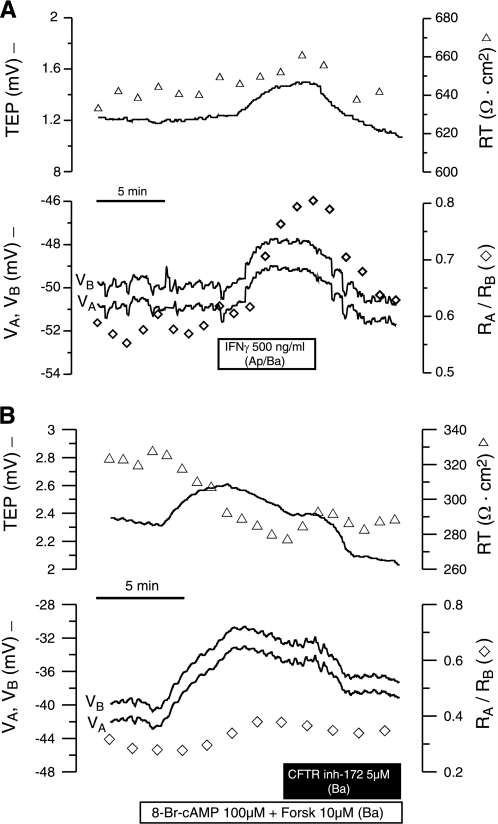 Fig. 8.