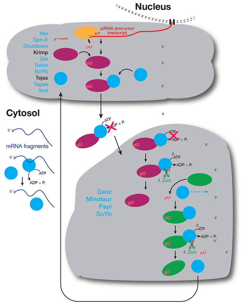 Figure 6.