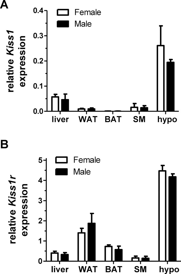 Figure 6: