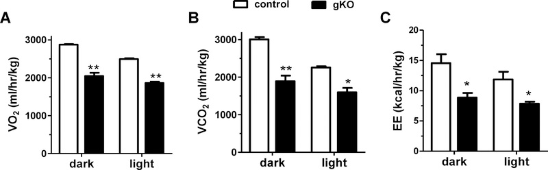 Figure 5: