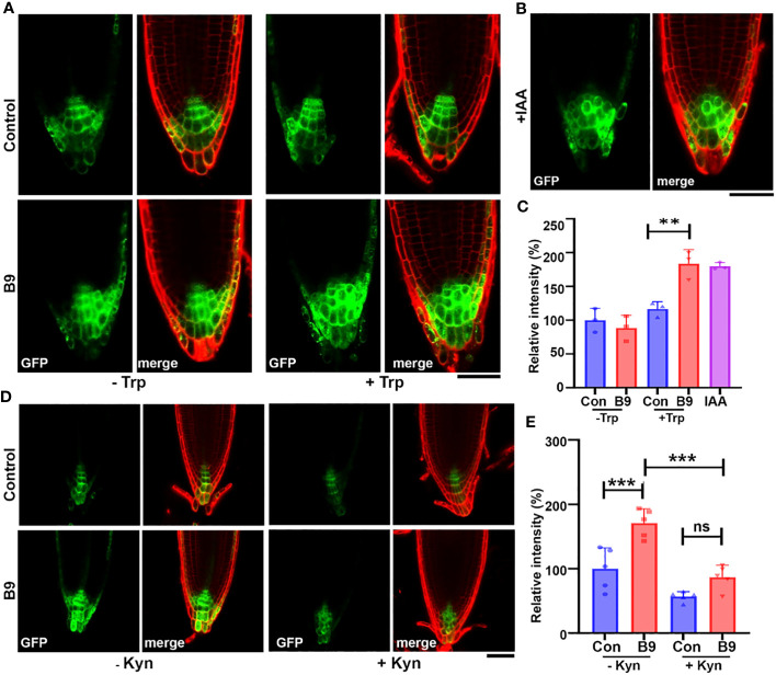 Figure 3