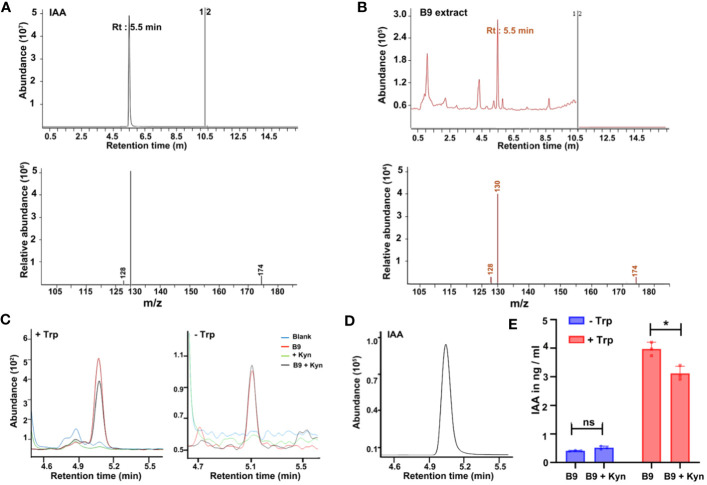 Figure 2