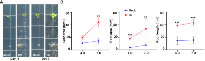 Figure 4