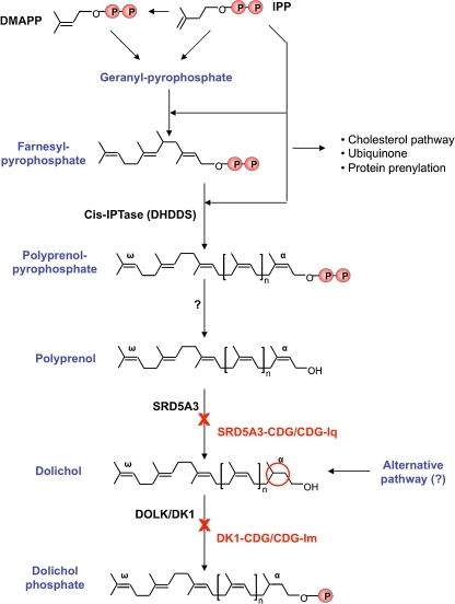 Fig. 2