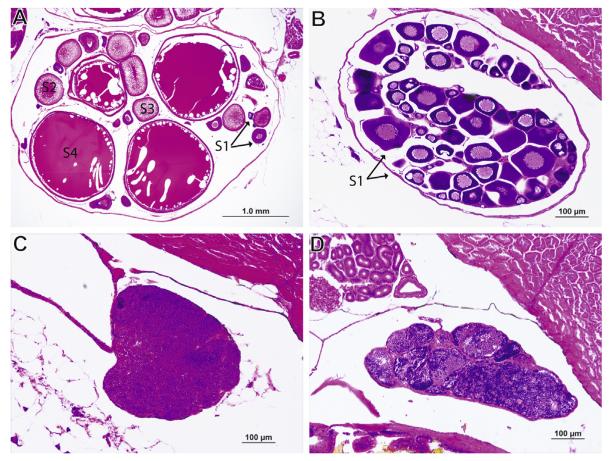 Fig. 7