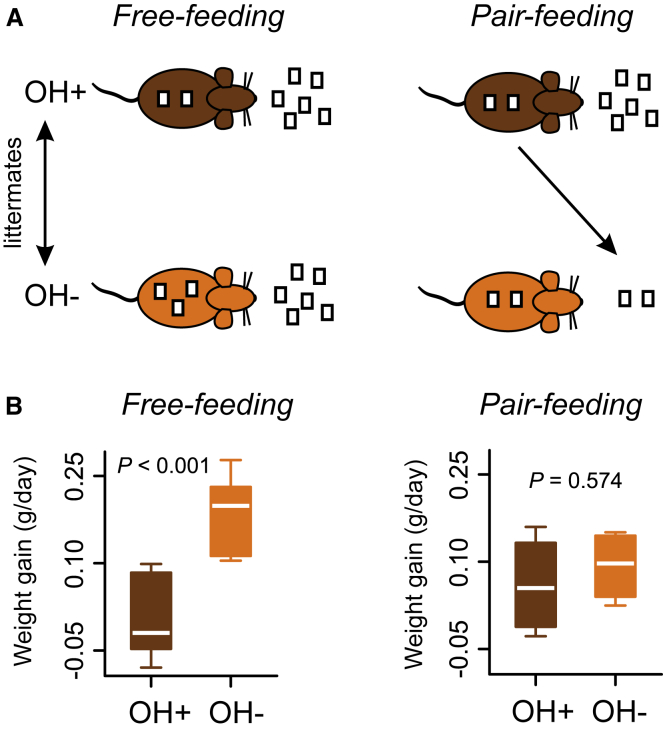 Figure 4