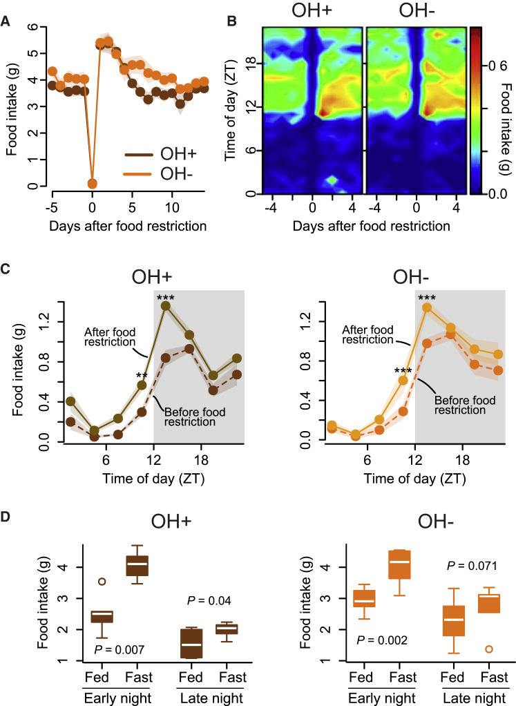 Figure 3