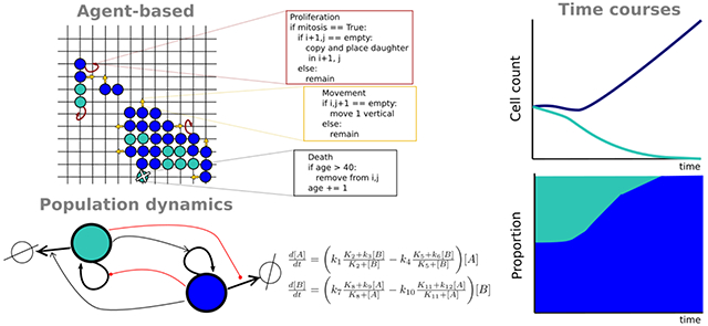 graphic file with name nihms-1540140-f0003.jpg