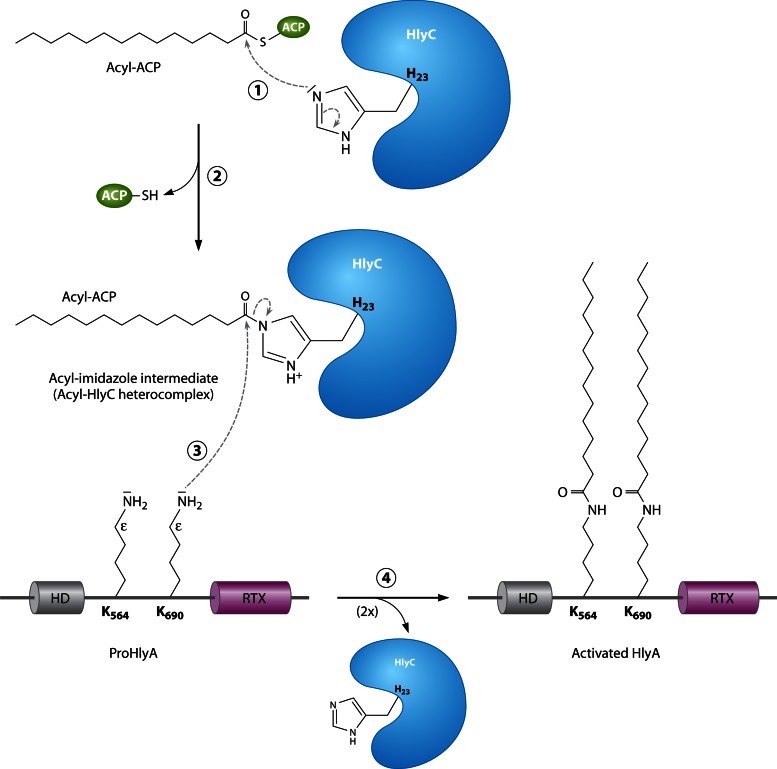 Fig 14