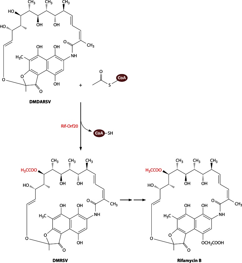 Fig 12