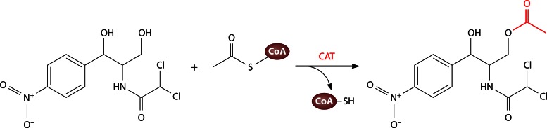 Fig 13