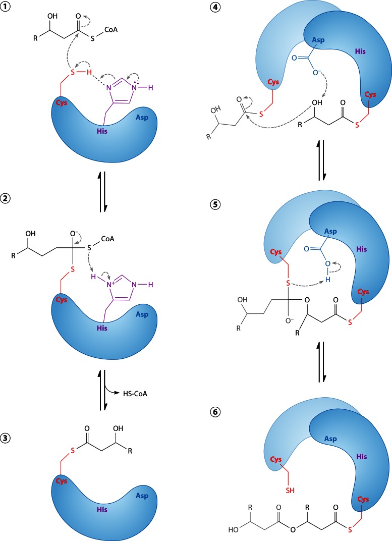 Fig 17