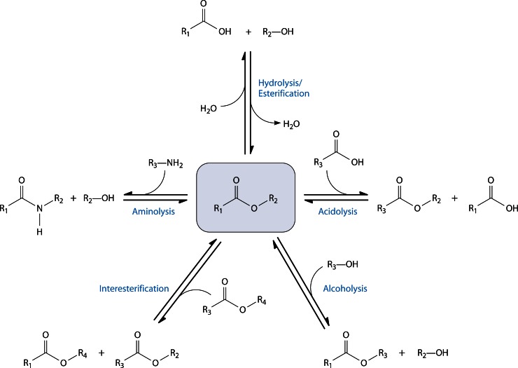 Fig 15