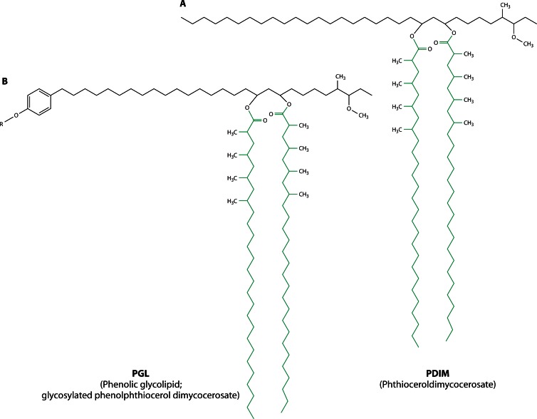 Fig 10