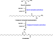 Fig 7