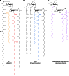 Fig 11