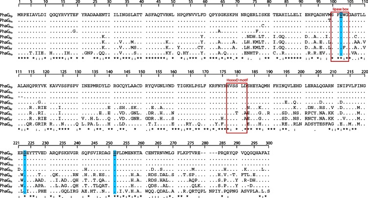 Fig 20