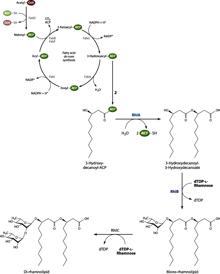 Fig 21