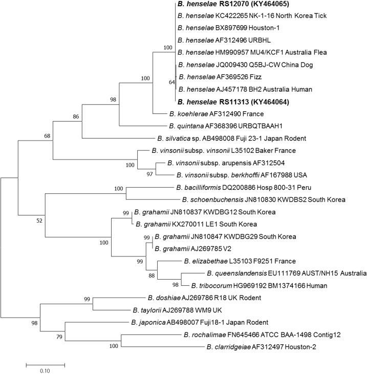 Figure 2.