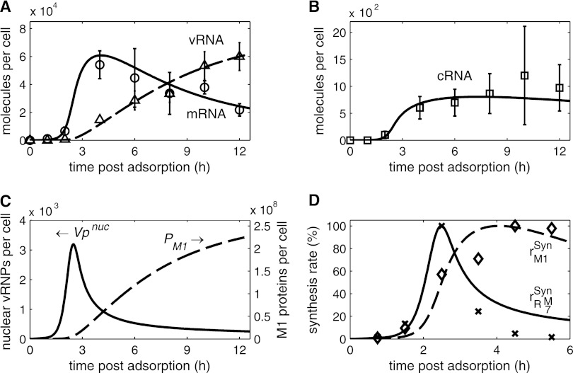 Fig 4