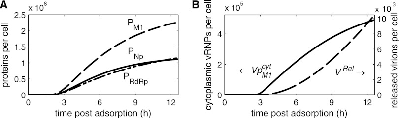 Fig 5