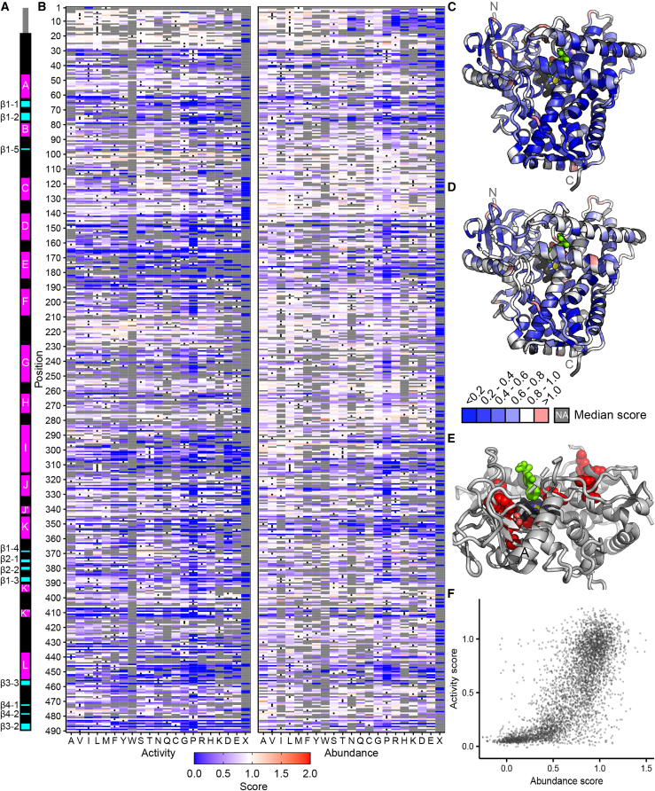 Figure 4