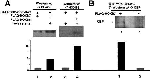 FIG. 6