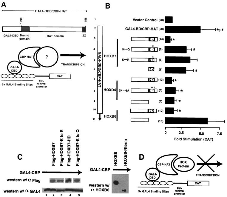 FIG. 5