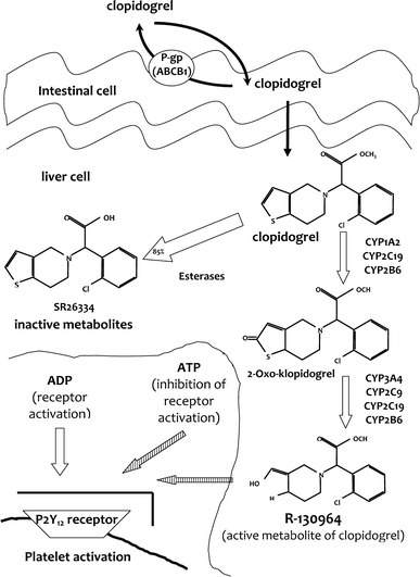 Fig. 1