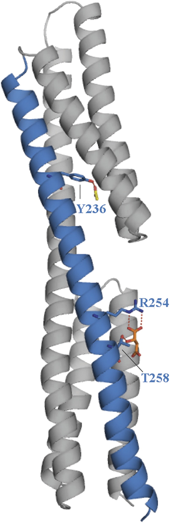 Fig. 6.