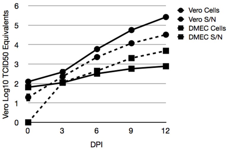 Figure 5