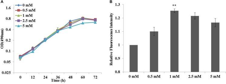 FIGURE 2