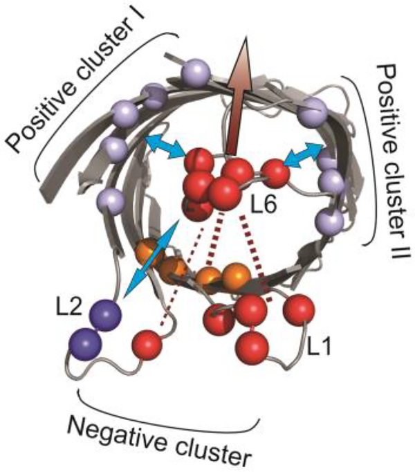 Fig. 7.