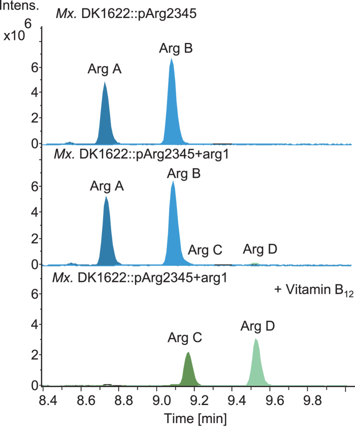 Fig. 2