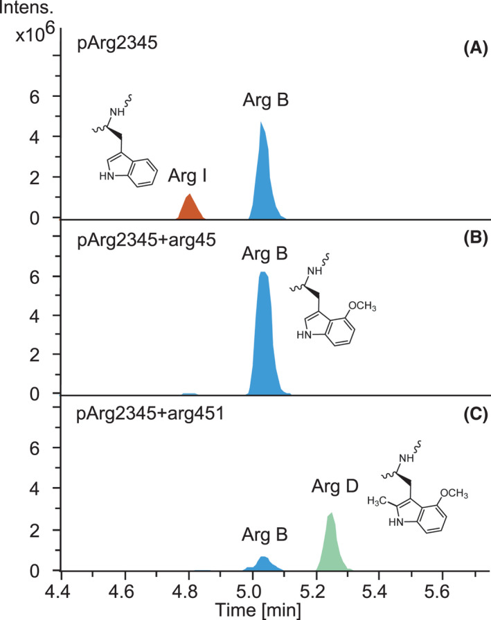 Fig. 6