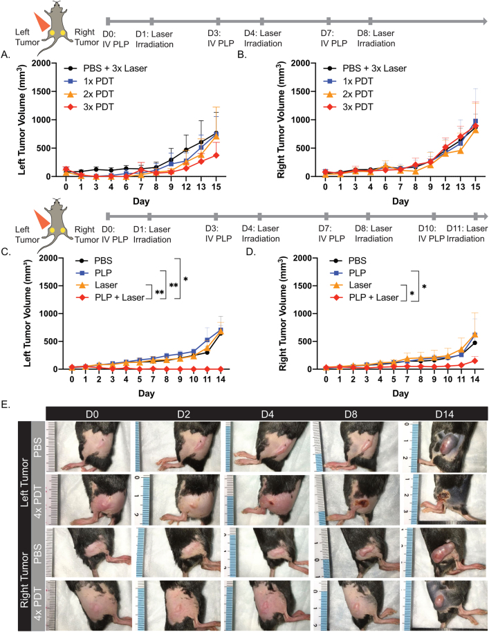 Figure 4: