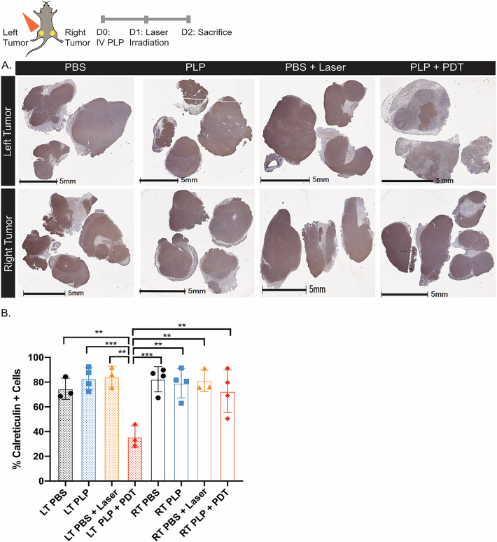 Figure 3: