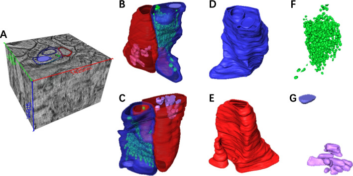 Fig. 4